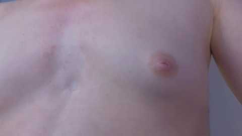 elis_fox @ stripchat on 20251210