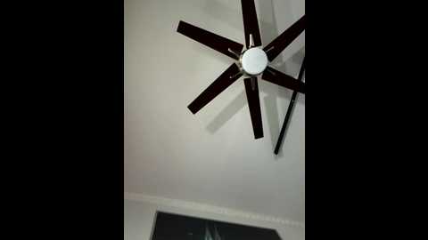 hornyblond_bella @ stripchat on 20251210