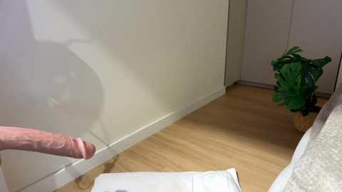 kelly_berry__ @ stripchat on 20251210