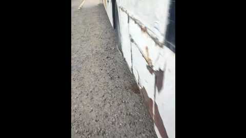 labellasex @ stripchat on 20251210