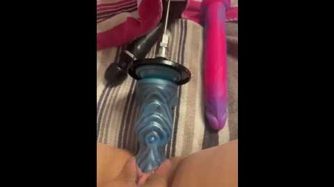 luisa1 @ stripchat on 20251210