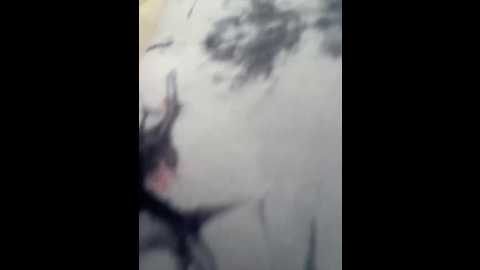 natalia_vidal @ stripchat on 20251210