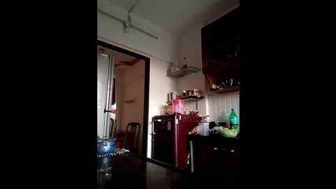 pushpa_rani1 @ stripchat on 20251210