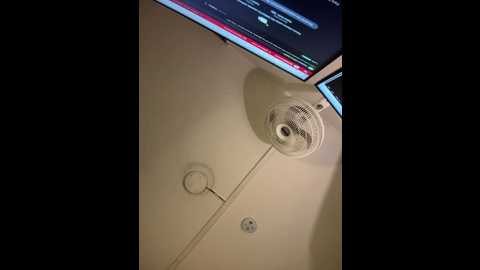 sophicarters @ stripchat on 20251210