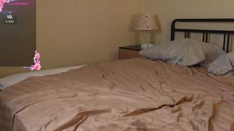 bonnie_white @ stripchat on 20251211