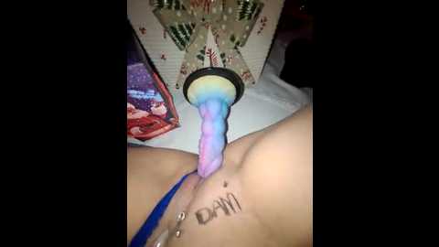 iitaniee @ stripchat on 20251211