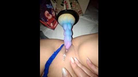 iitaniee @ stripchat on 20251211