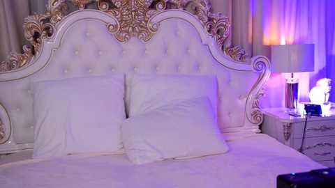 janebrock @ stripchat on 20251211