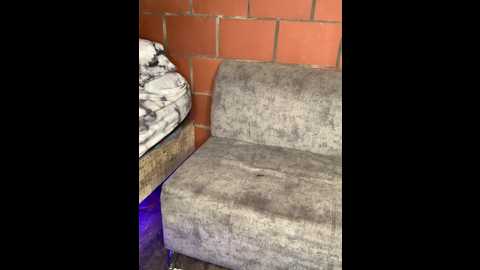 kylie_patrick @ stripchat on 20251211