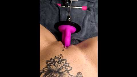 linalicious @ stripchat on 20251211