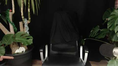 lola_sky@xh @ stripchat on 20251211