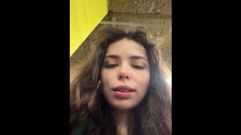 pantyless @ stripchat on 20251211