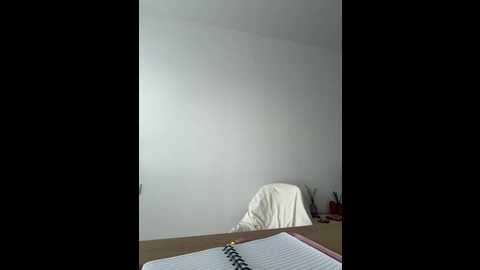 streetdoll @ stripchat on 20251211