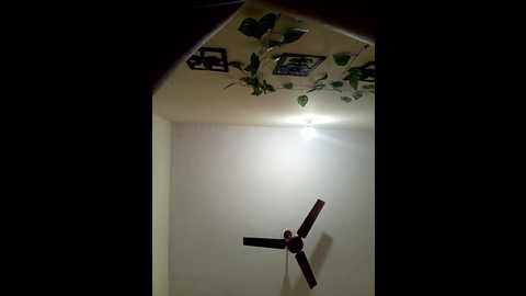 up_girl @ stripchat on 20251211