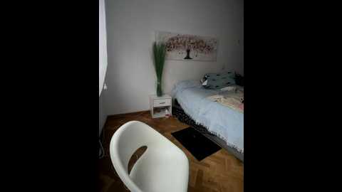 alirawrz @ stripchat on 20251212