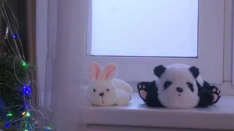 edlinhargus @ stripchat on 20251212