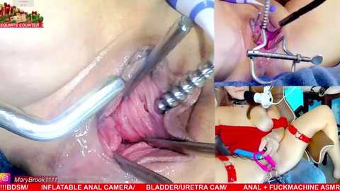 marybrook1 @ stripchat on 20251212