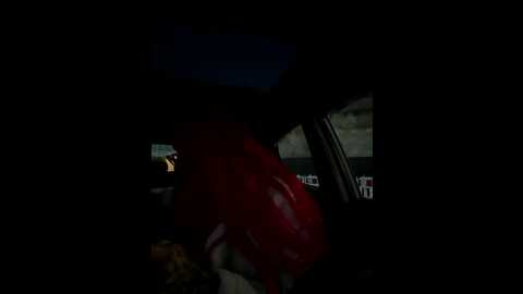 mia_fuchs @ stripchat on 20251212