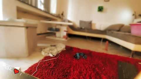 mindfvkc @ stripchat on 20251212