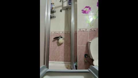 ozge_sluttyscream69 @ stripchat on 20251212