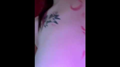 rinamay_ @ stripchat on 20251212