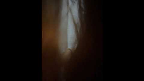 rosaliavicky @ stripchat on 20251212