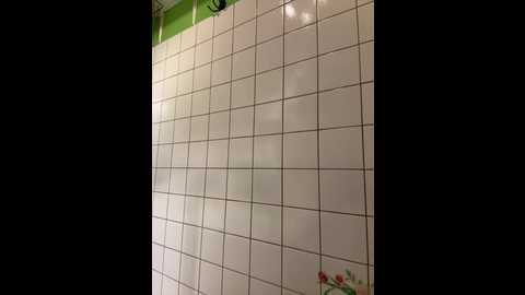 sexymelli18 @ stripchat on 20251212