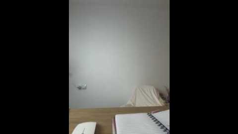 streetdoll @ stripchat on 20251212