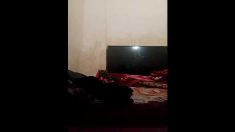 up_girl @ stripchat on 20251212