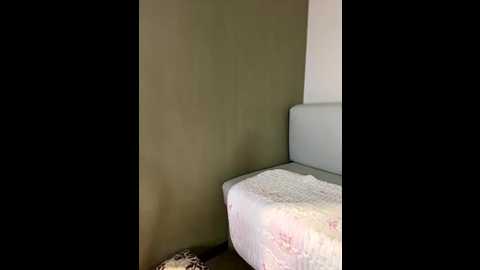 a5l2e0x @ stripchat on 20251213