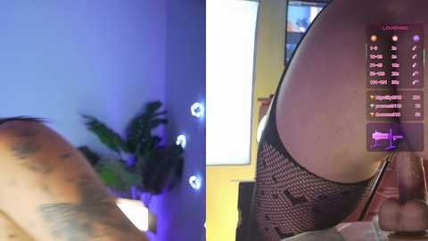 anniecouperr @ stripchat on 20251213