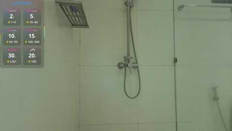 elis_fox @ stripchat on 20251213