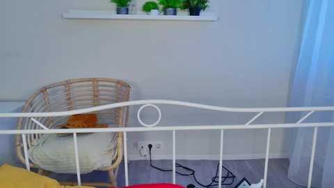 kamila_blush @ stripchat on 20251213