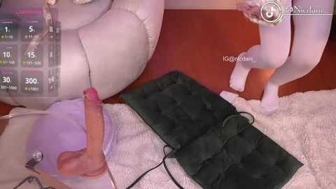 nicdani_1 @ stripchat on 20251213