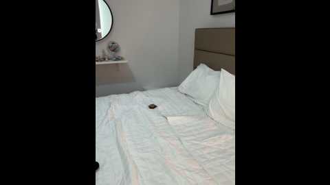 shortybig_official @ stripchat on 20251213