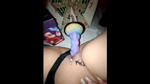 iitaniee @ stripchat on 20251214