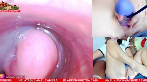 marybrook1 @ stripchat on 20251214