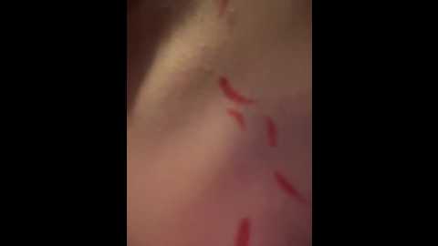 rinamay_ @ stripchat on 20251214