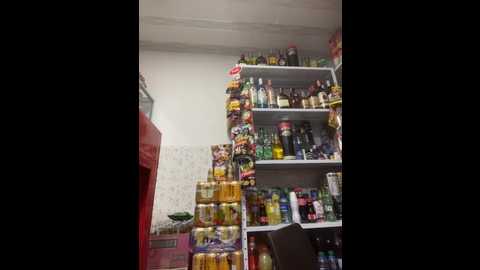 sara_fun @ stripchat on 20251214