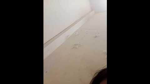 up_girl @ stripchat on 20251214