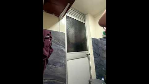 roouse @ stripchat on 20251215