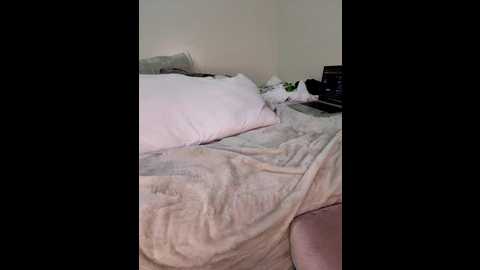 shaoula @ stripchat on 20251215