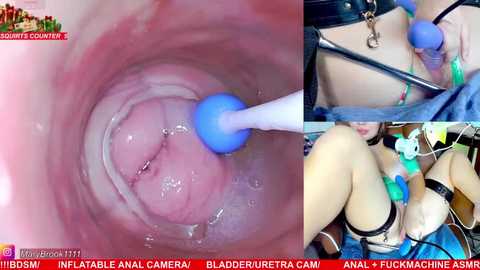 marybrook1 @ stripchat on 20251216