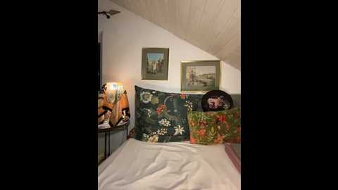 vanillezucker @ stripchat on 20251216