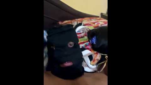 hot_cupal22 @ stripchat on 20251217