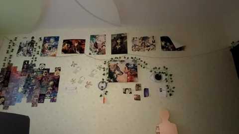 janelbray @ stripchat on 20251217