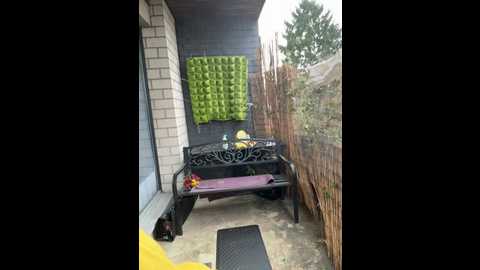 squirt_fuck_queen @ stripchat on 20251217