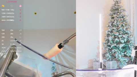 baby_blush @ stripchat on 20251218