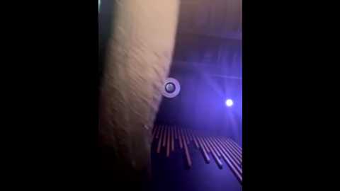 forbiddenaddictions @ stripchat on 20251218