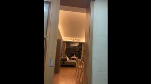 susuya_sha @ stripchat on 20251218